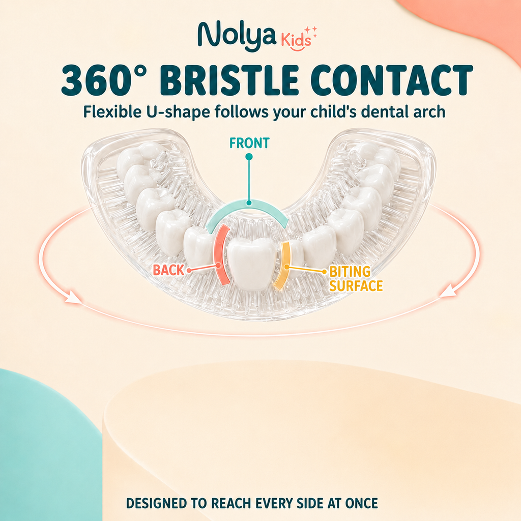 DinoKid 360 degree bristle contact diagram